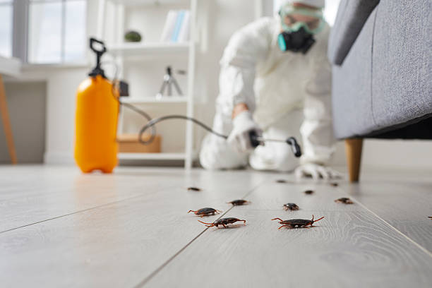 Post-Treatment Bed Bug Interceptor Monitoring in Sixteen Mile Stand