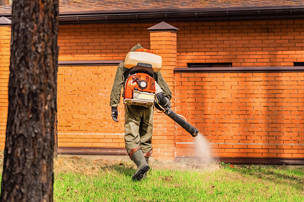 Bed Bug Clearance Verification and Documentation in Sixteen Mile Stand